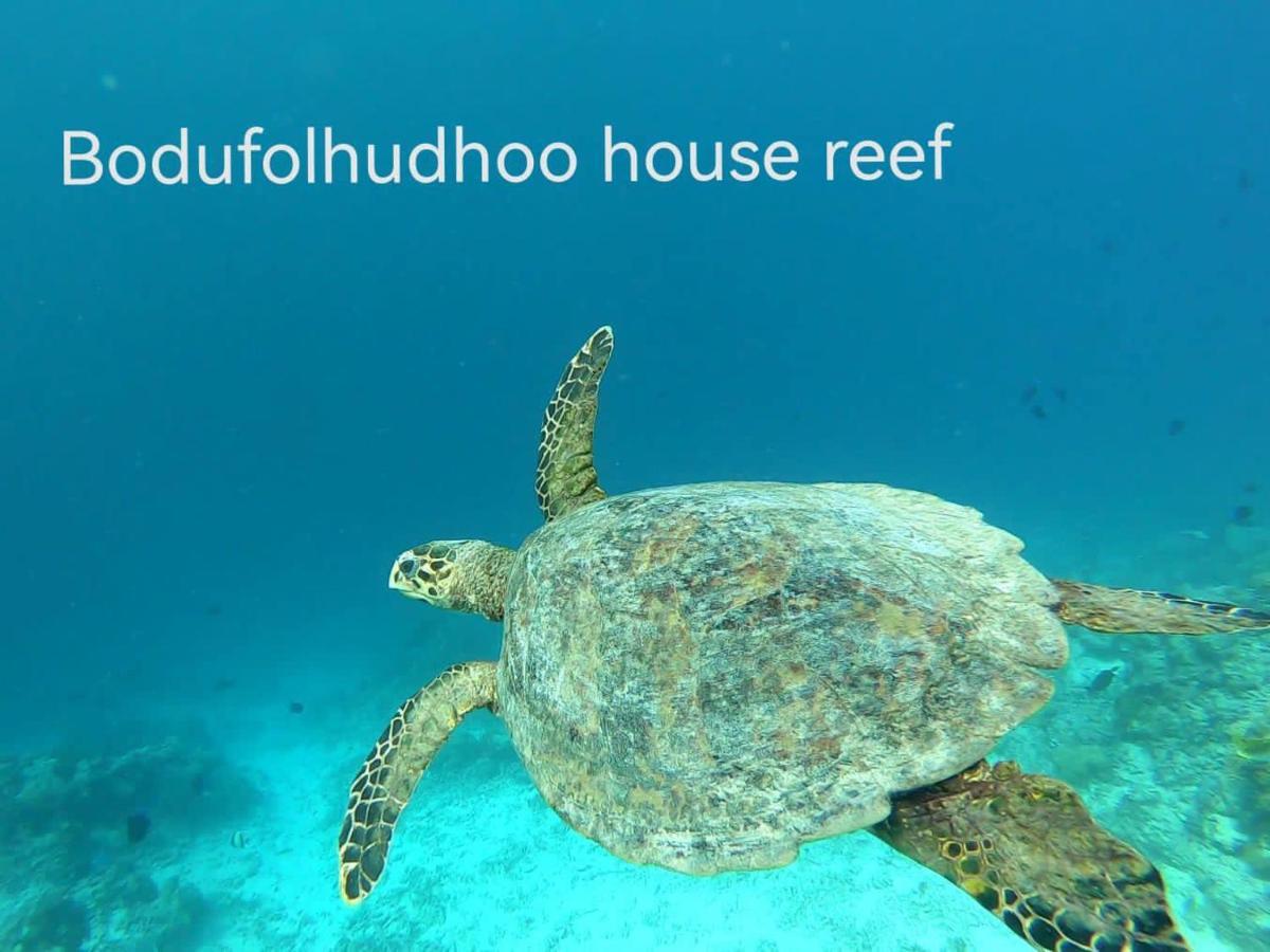 Surfretreat Hotel Bodufolhudhoo Exterior photo